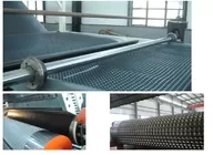 HDPE 3D Geocomposite Drain , Composite Drainage Board Extrusion Machine supplier